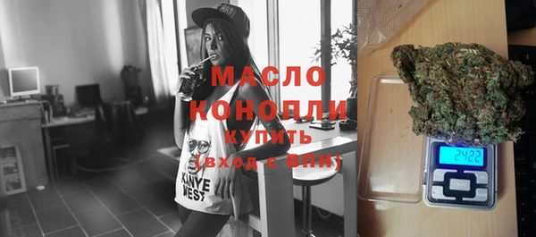 шишки Медвежьегорск