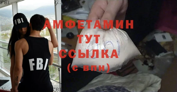 шишки Медвежьегорск