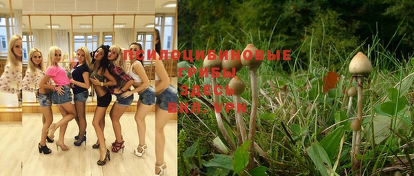 mdpv Михайловка