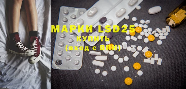 шишки Медвежьегорск